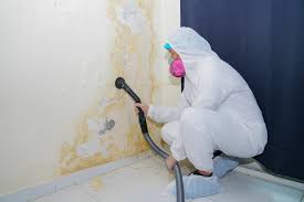 Best Comprehensive Air Testing for Mold Contaminants  in Preston, IA